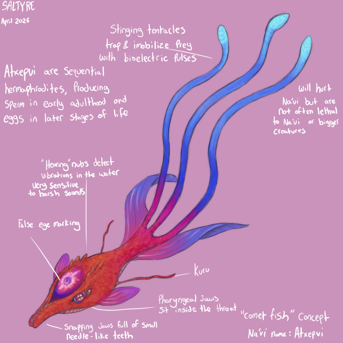 Davey|| Comms Open tweet media