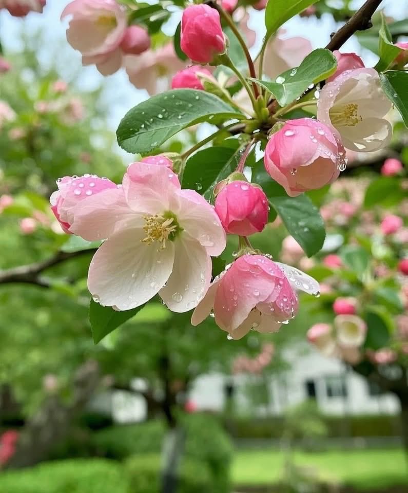 𝑀𝒶𝓇𝒾 𝒟𝒶𝓎𝓈𝒾 tweet media