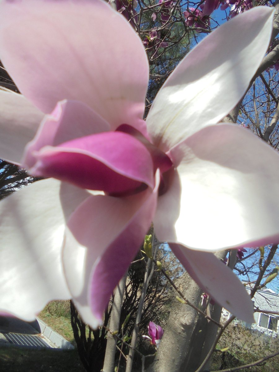 이근제 tweet media