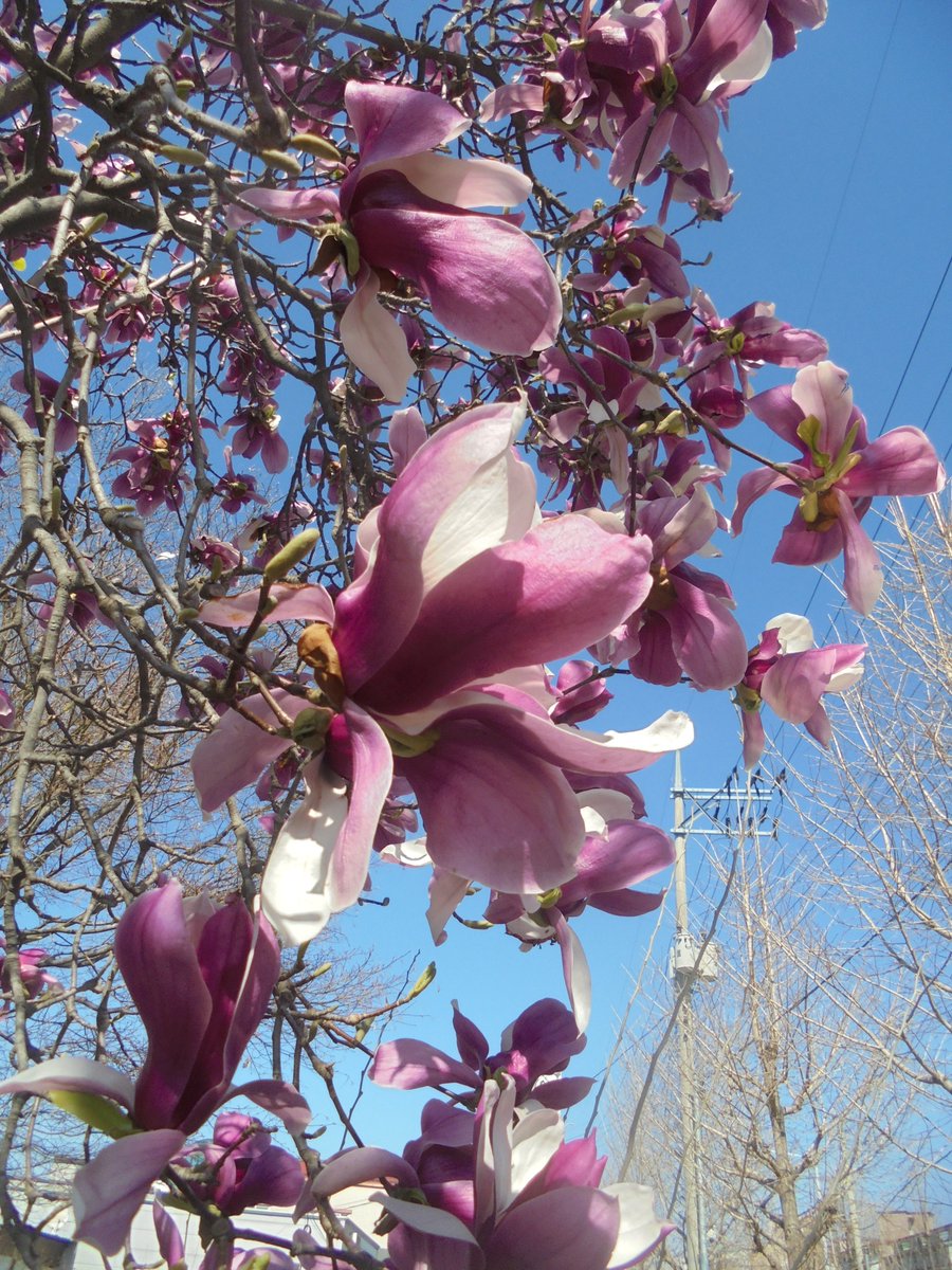 이근제 tweet media