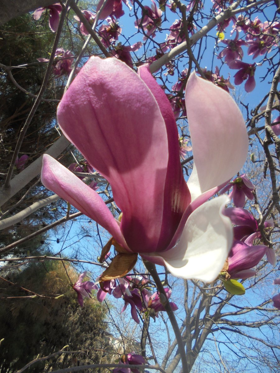 이근제 tweet media