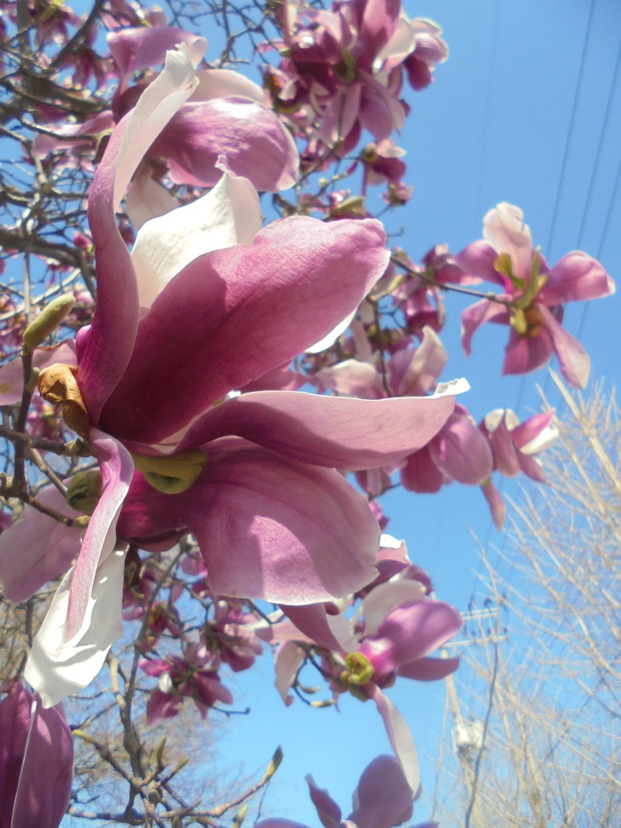 이근제 tweet media