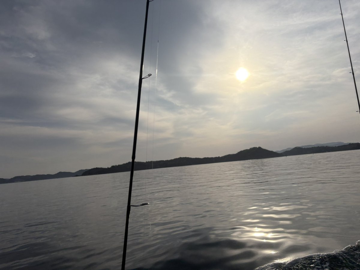 ぴーちてぃー tweet media