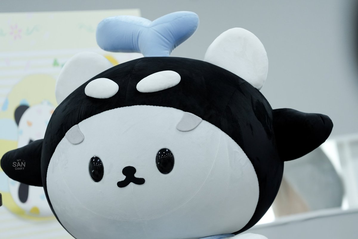 ₊°｡❆ ｍｙＳＡＮｄｉａｒｙ ❆｡°₊ tweet media