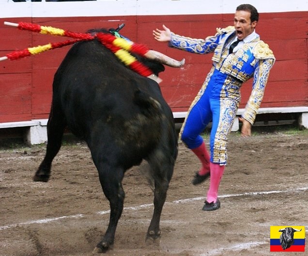 Toros Ecuador tweet media