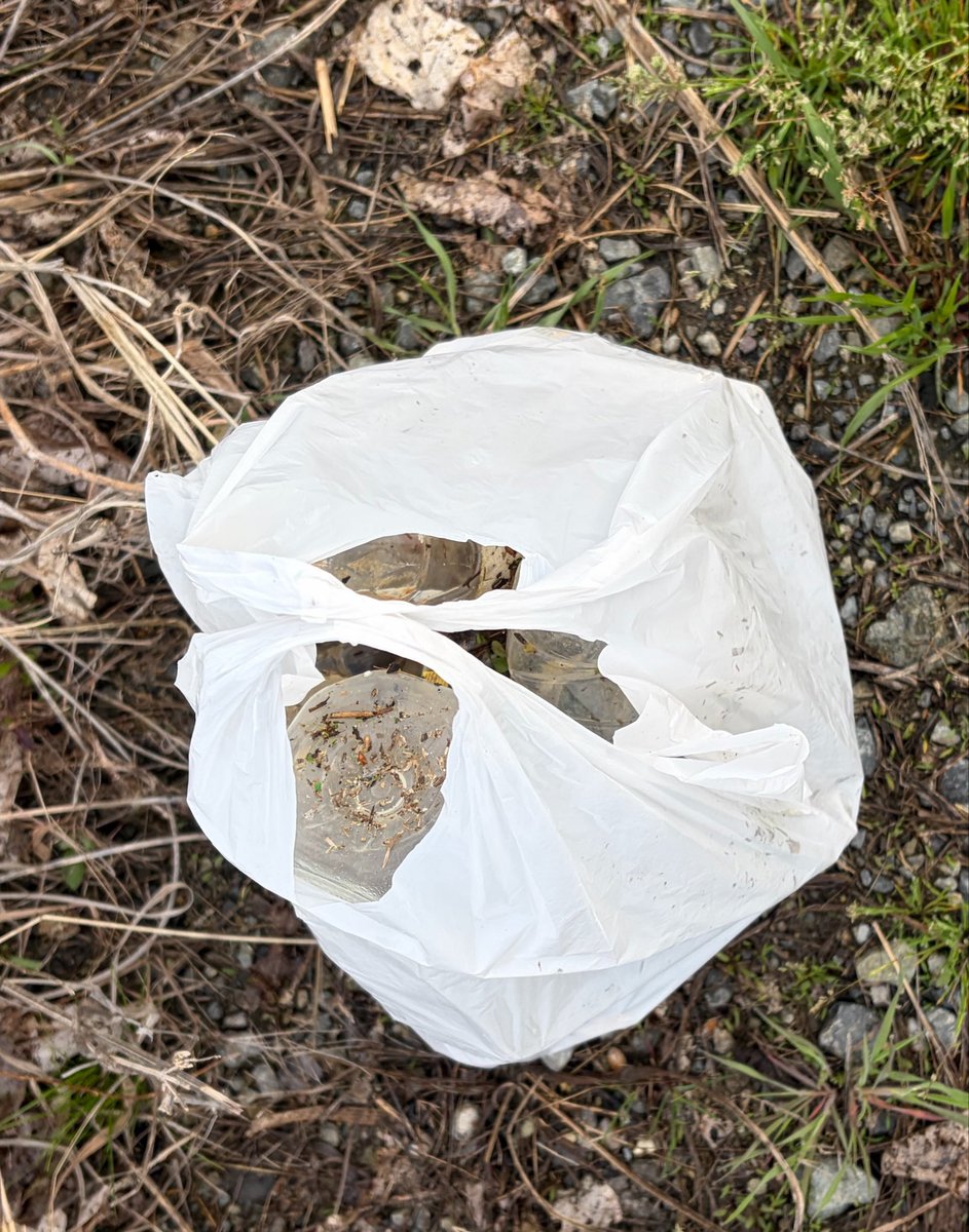 PEI@YODOGAWA tweet media