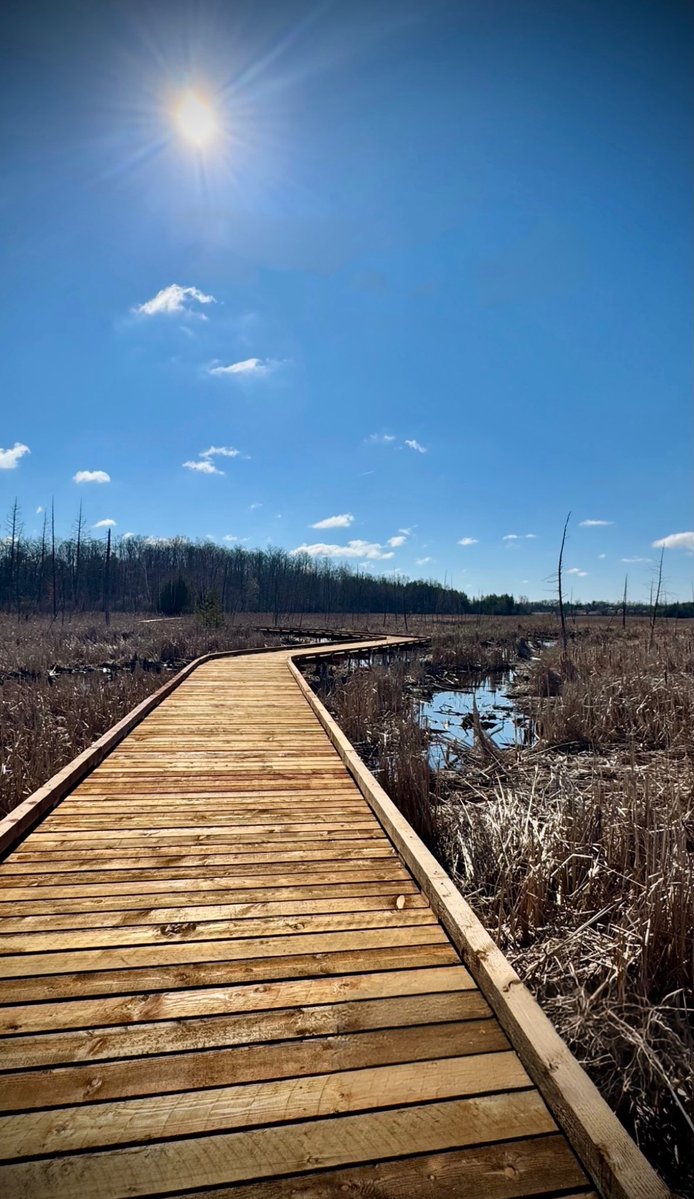 Lost Sounds tweet media