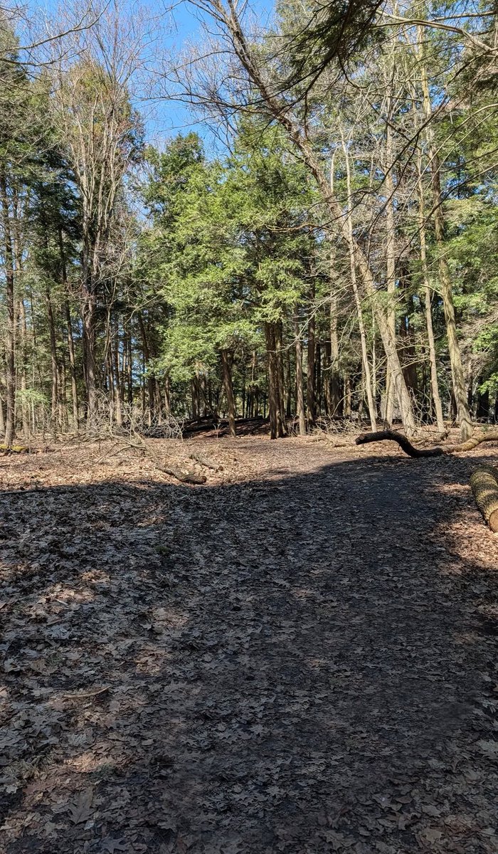 Lost Sounds tweet media