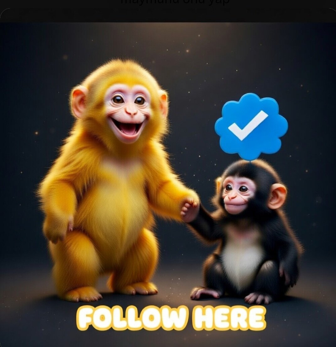 Şiirkur tweet media