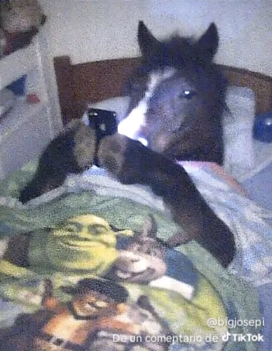 ☕ Champurrado4k☠️ 🌹 tweet media