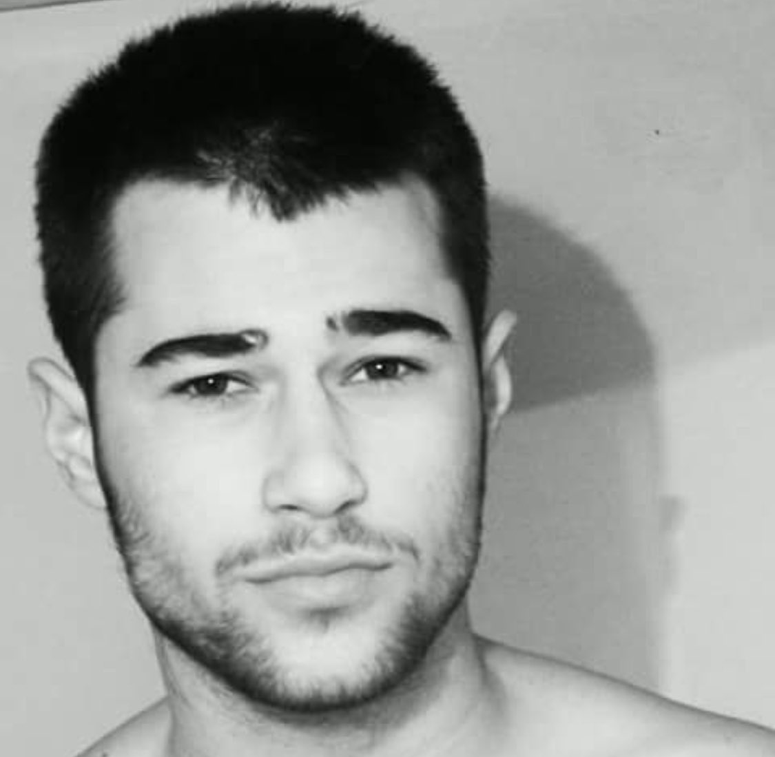 Čedomir Stojanović tweet media