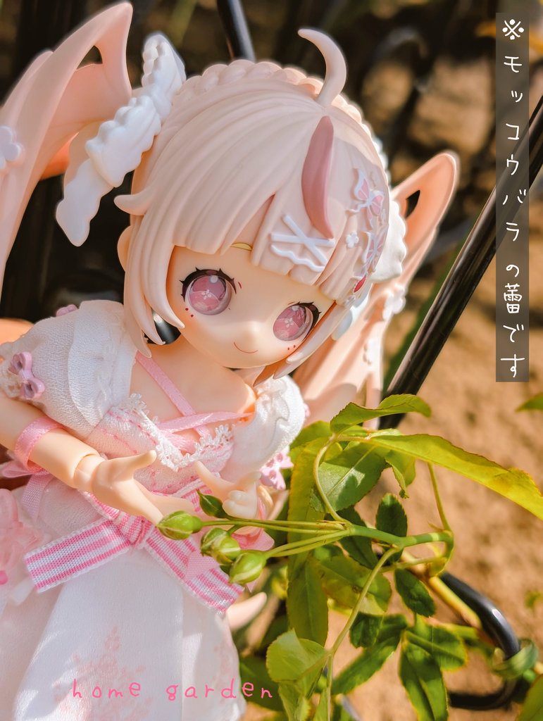 ＼ミキプルーンの苗木／
　#おはドル
　#ドールオーナーさんと繋がりたい

SugaryGirls ﾘｾﾞｯﾀ (⁠*⁠˘⁠︶⁠˘⁠*⁠)⁠.⁠｡⁠*⁠♡