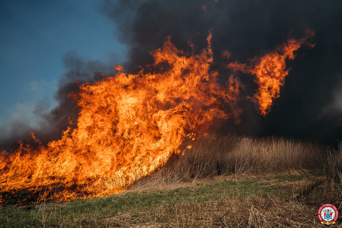 New Jersey Forest Fire Service tweet media