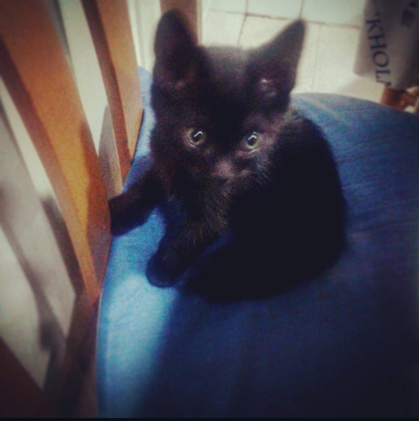 Sandra León tweet media