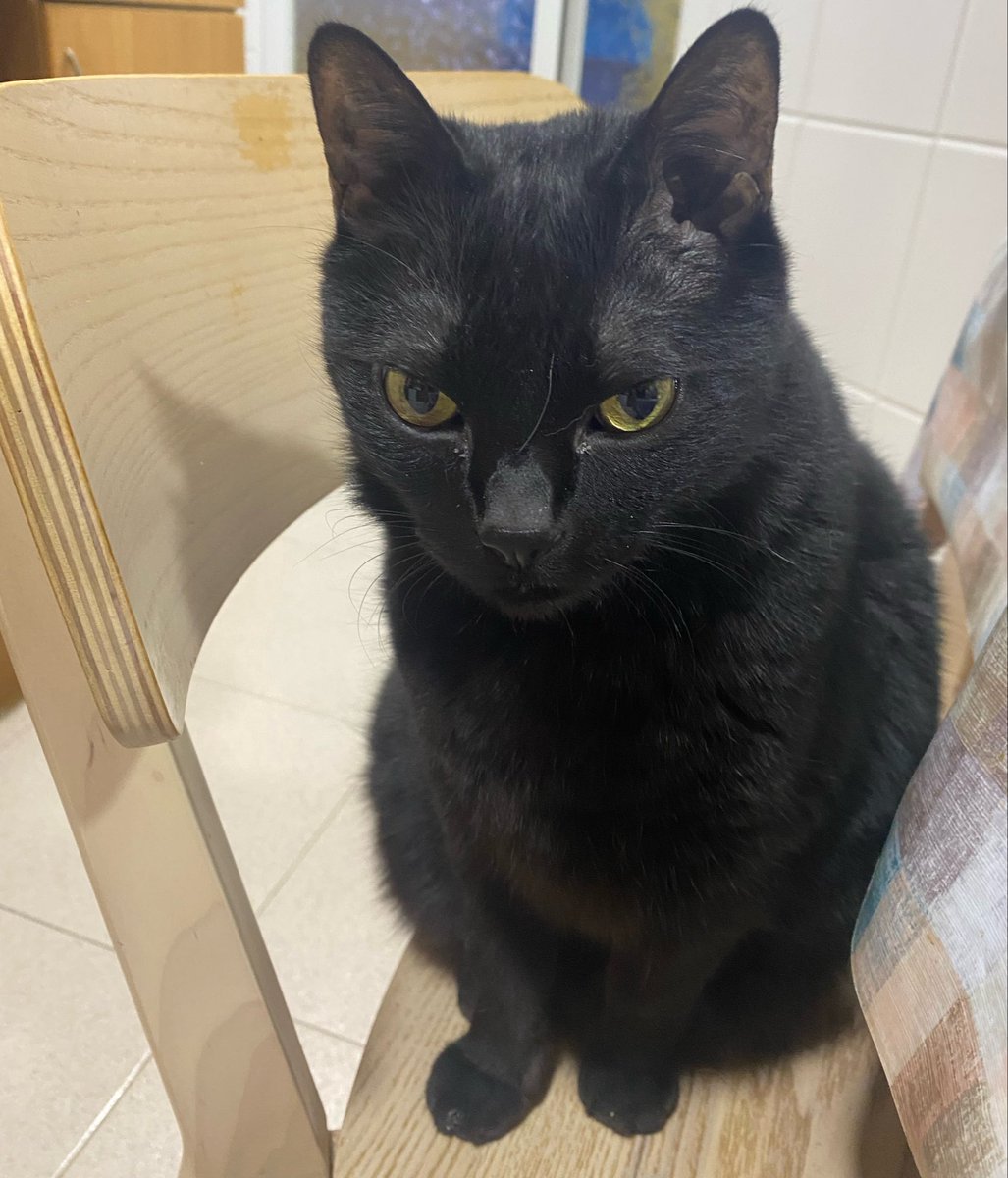 Sandra León tweet media