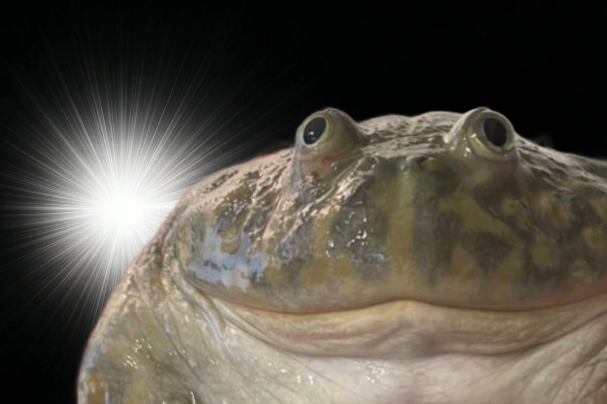 Mamitas Puebla6969 tweet media