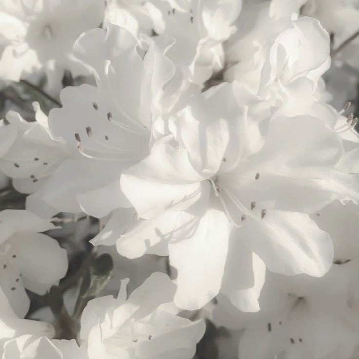 that one hunkennedy guy || RE9 spoilers tweet media