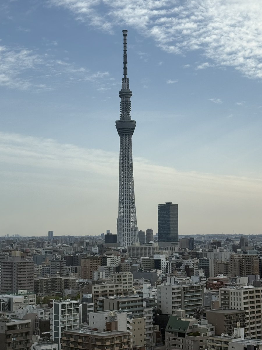 フォト・のんちゃん tweet media