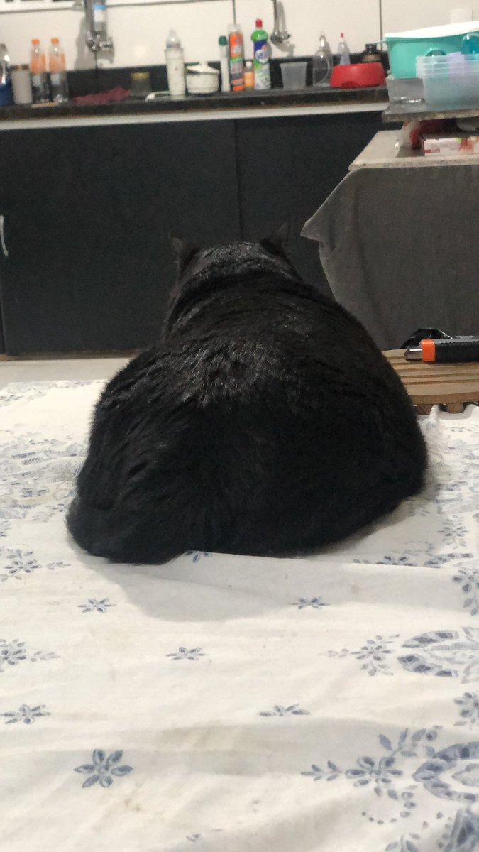 Gus ガス 🖤 tweet media