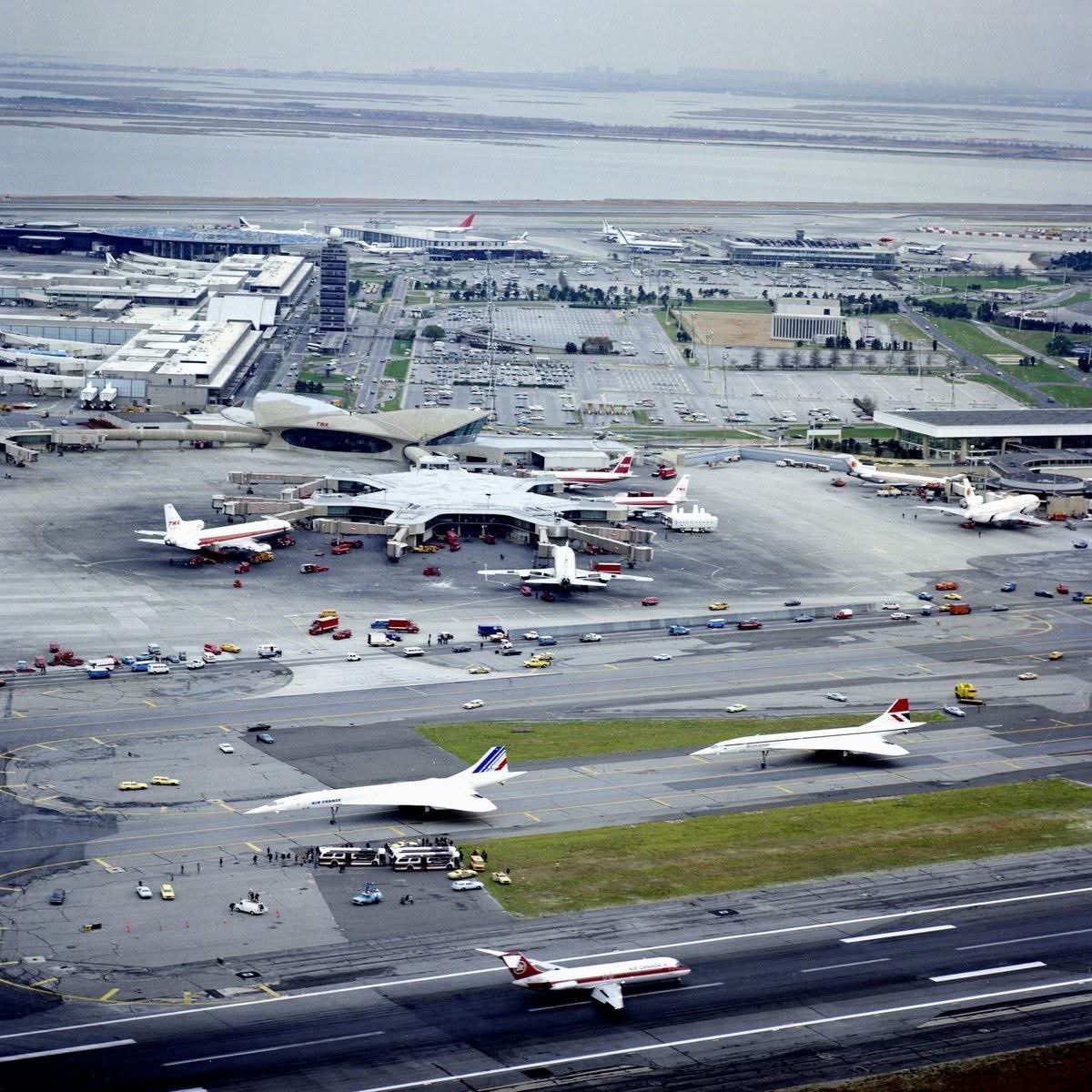 Nick Hoffmann tweet media