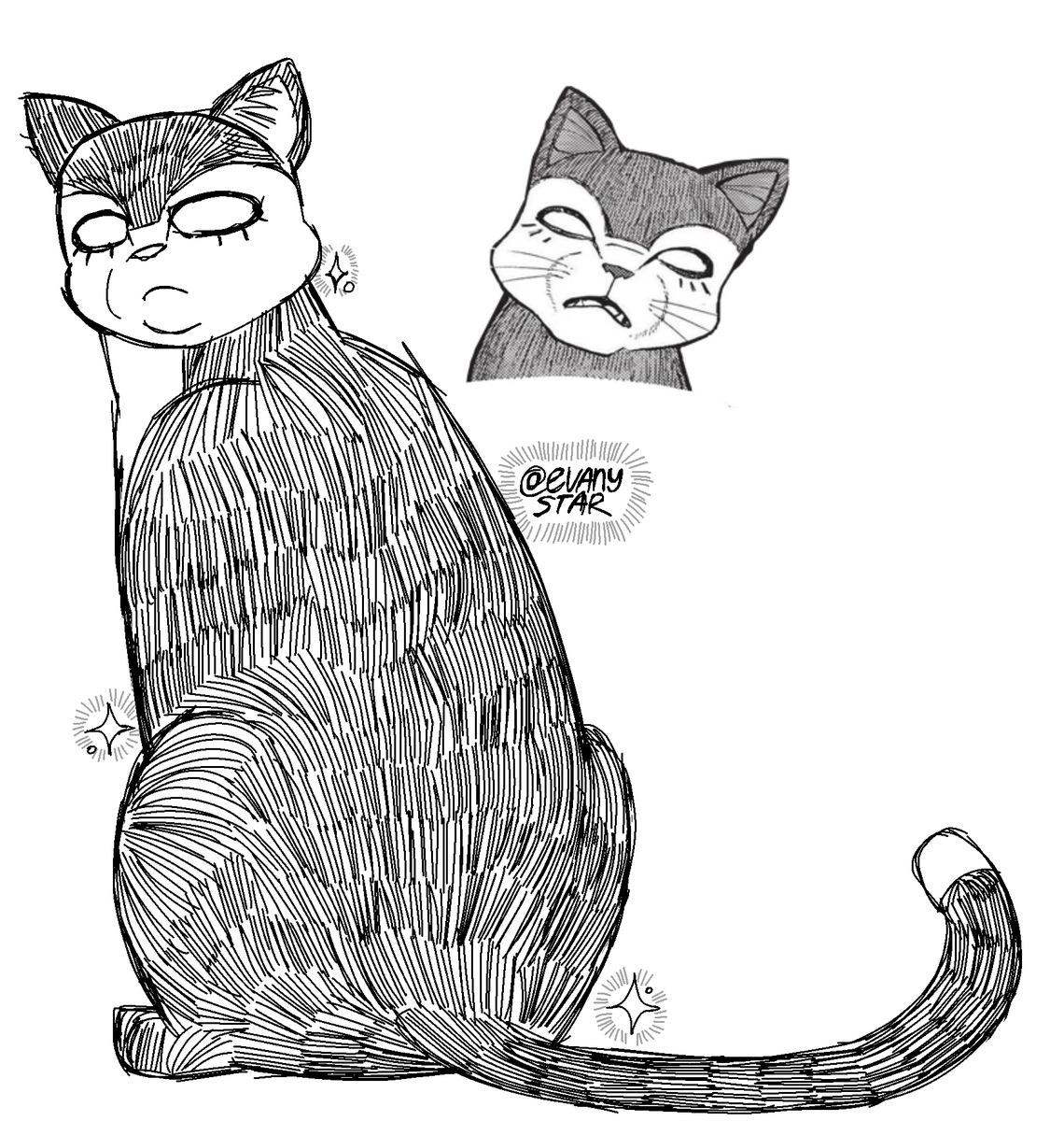 evanystar's tweet image. i like the way she looks here
{#warriorcats #bluestar}