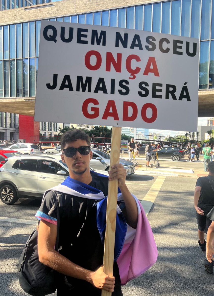 Bruno Pereira tweet media