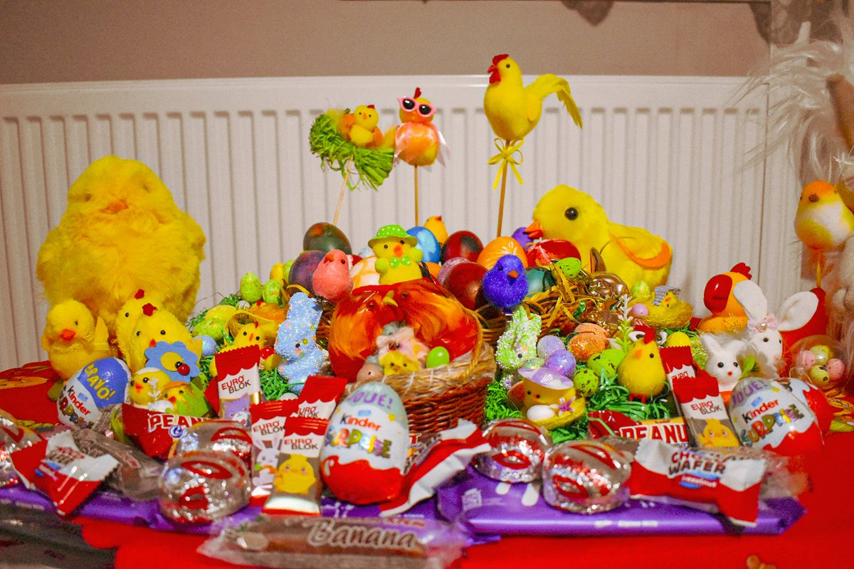 🎀 Dragica Basarić 🎀📸 tweet media