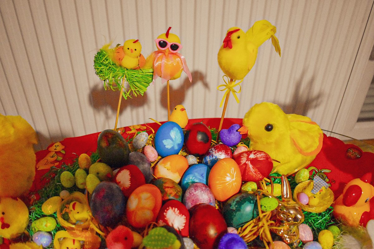 🎀 Dragica Basarić 🎀📸 tweet media