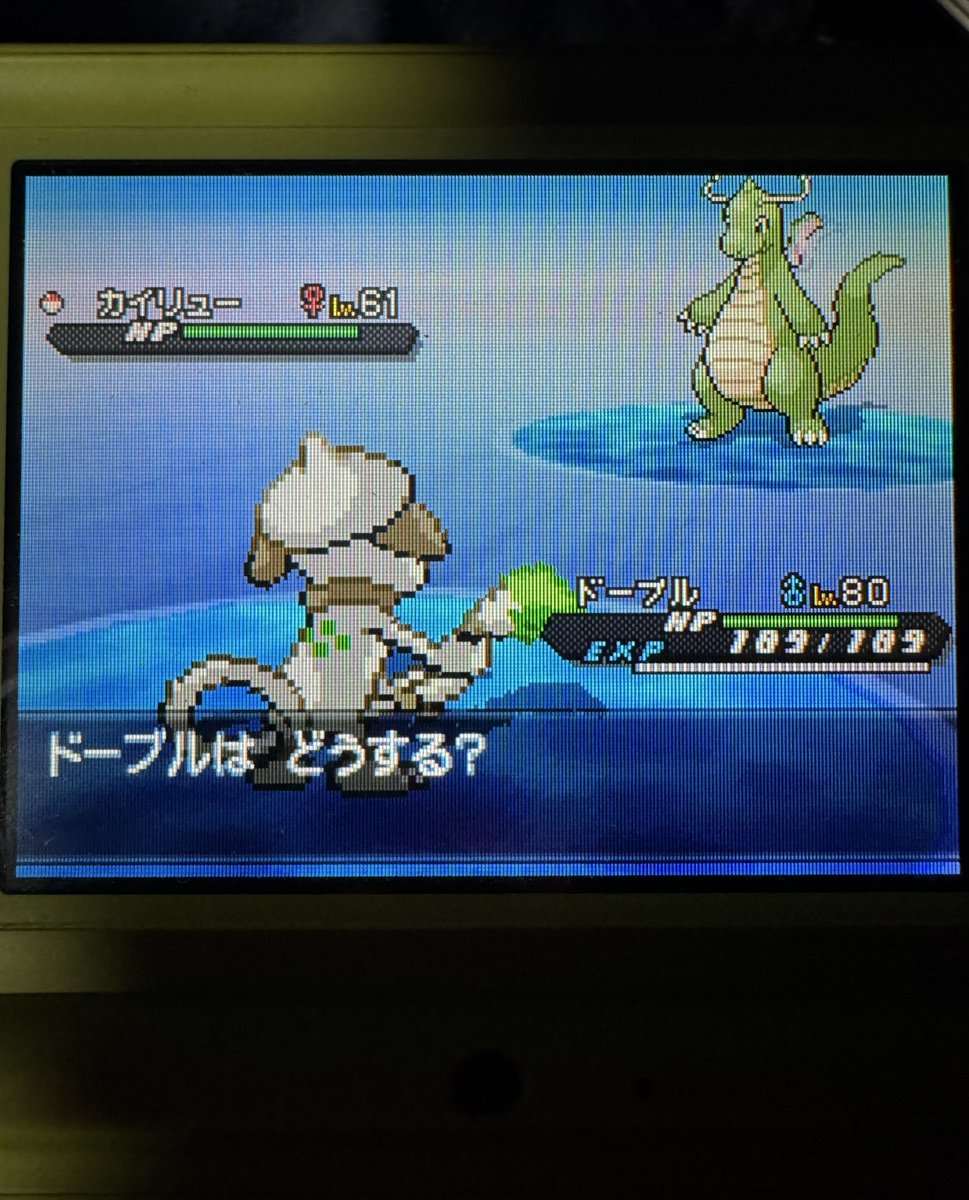 ダーヤマ★*゚ポケモンコレクター tweet media