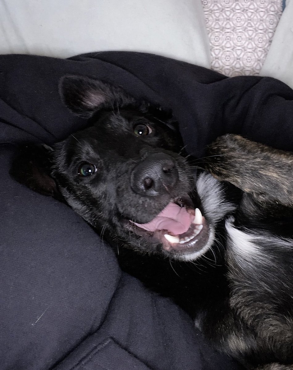 Daniela Garcia tweet media