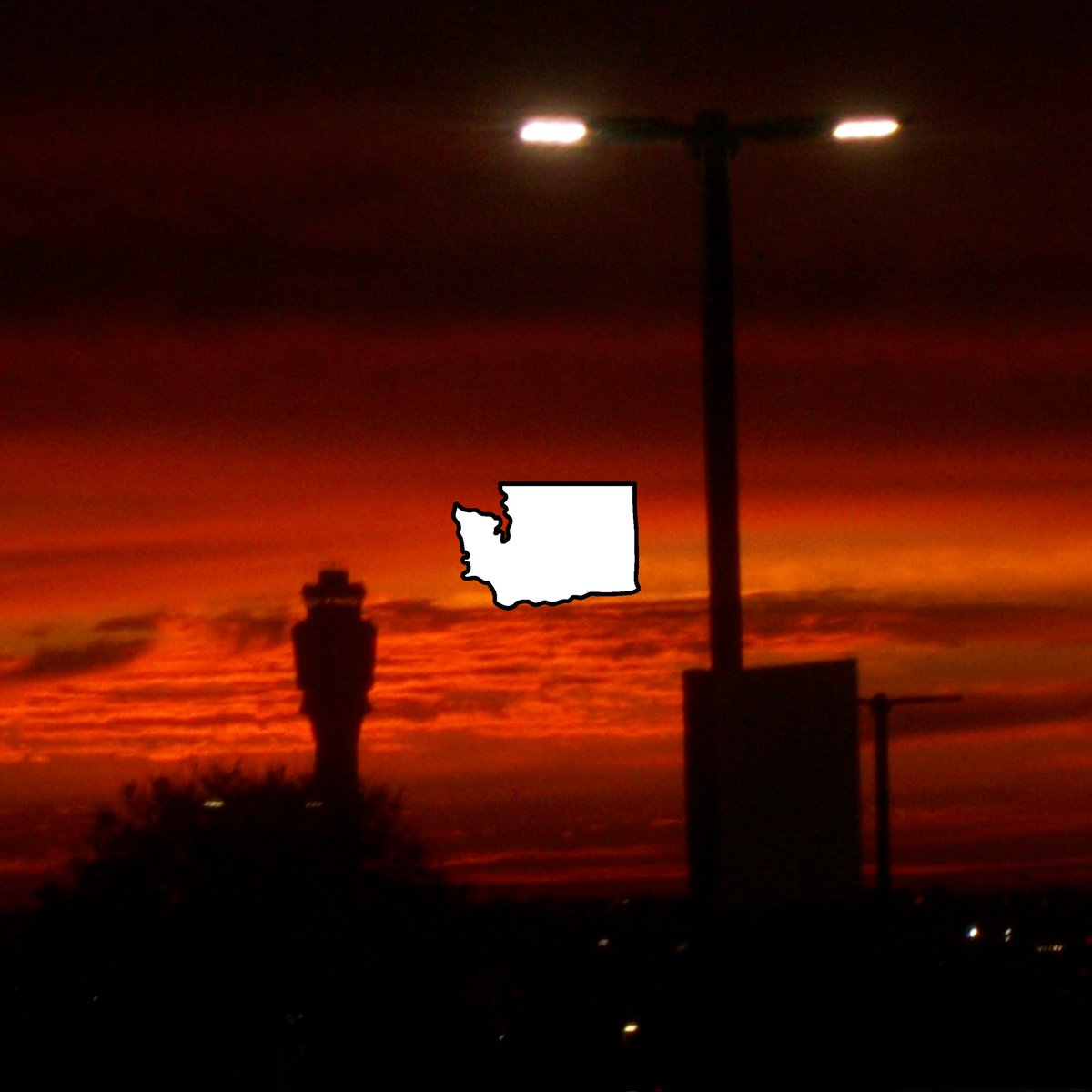 sunsetrider tweet media