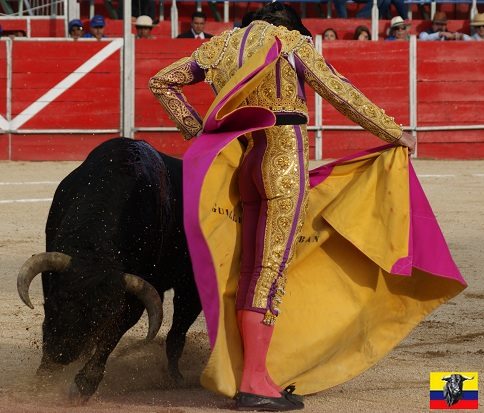 Toros Ecuador tweet media