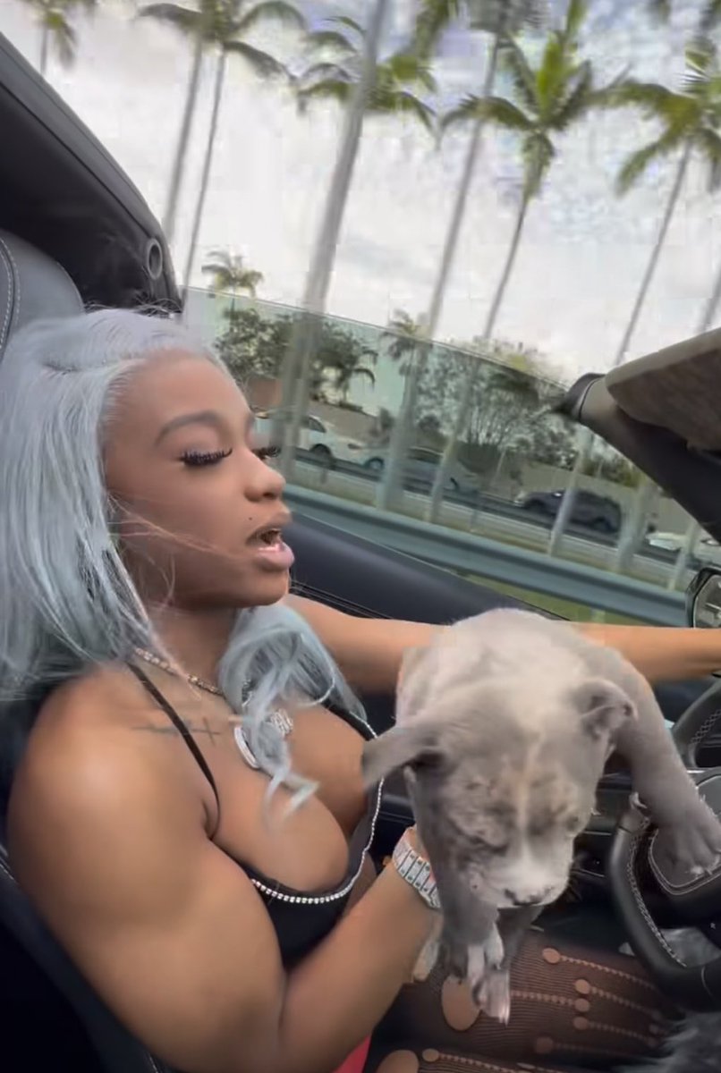 Female Rap Room tweet media