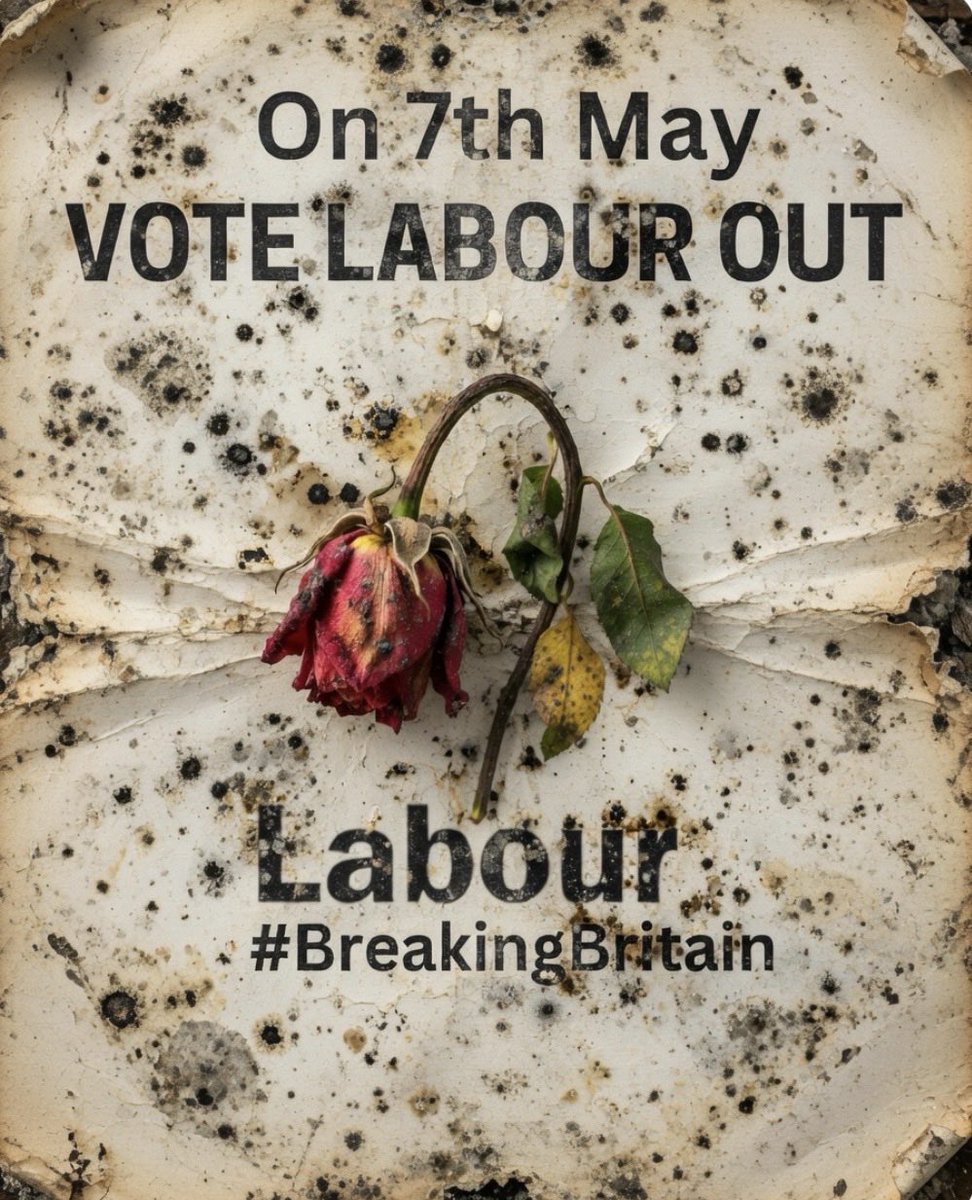 Viking 2645 tweet media