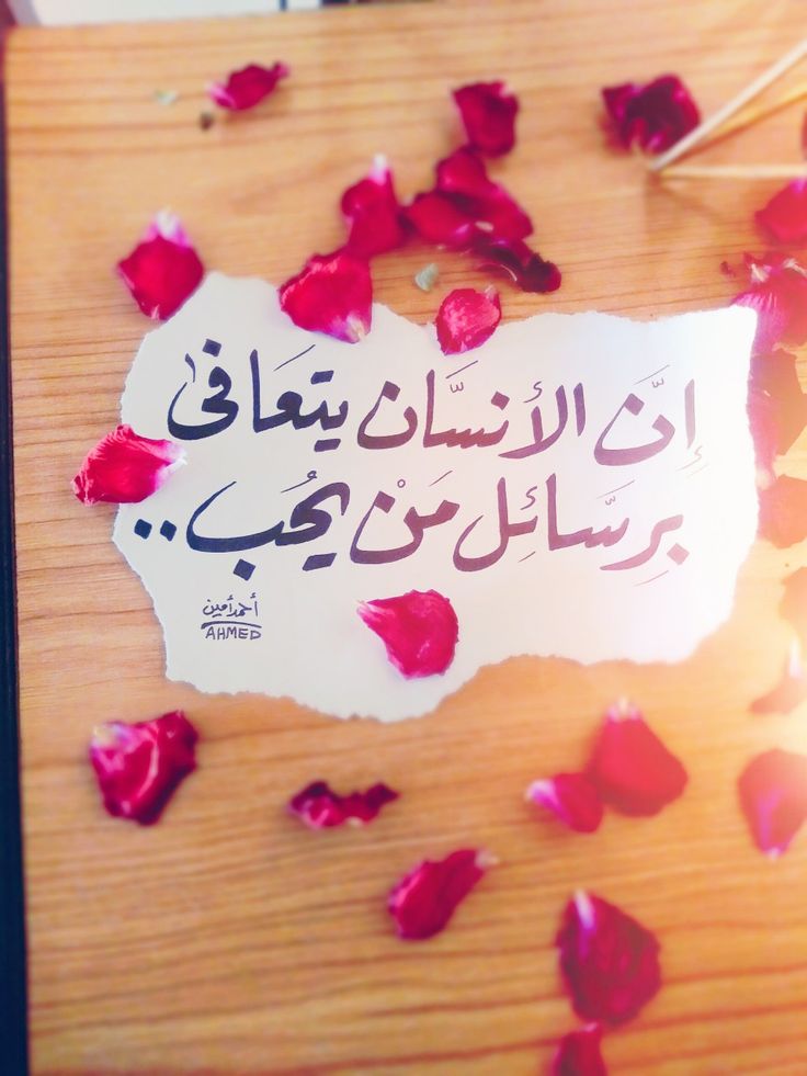 suad ali tweet media