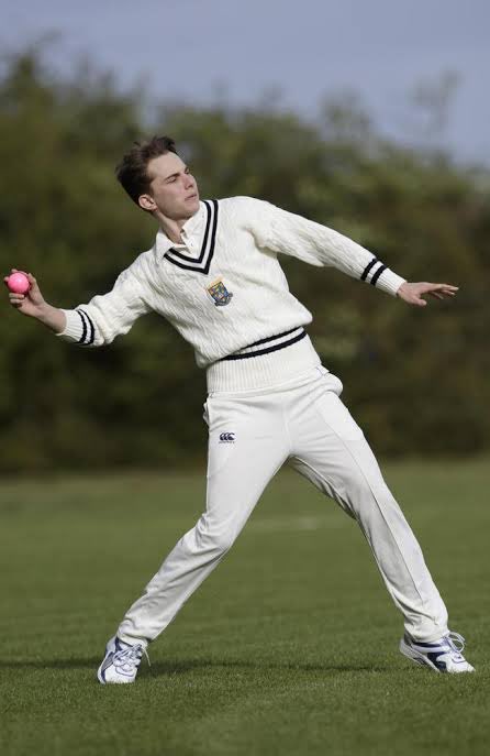 chia 🥥 tweet media