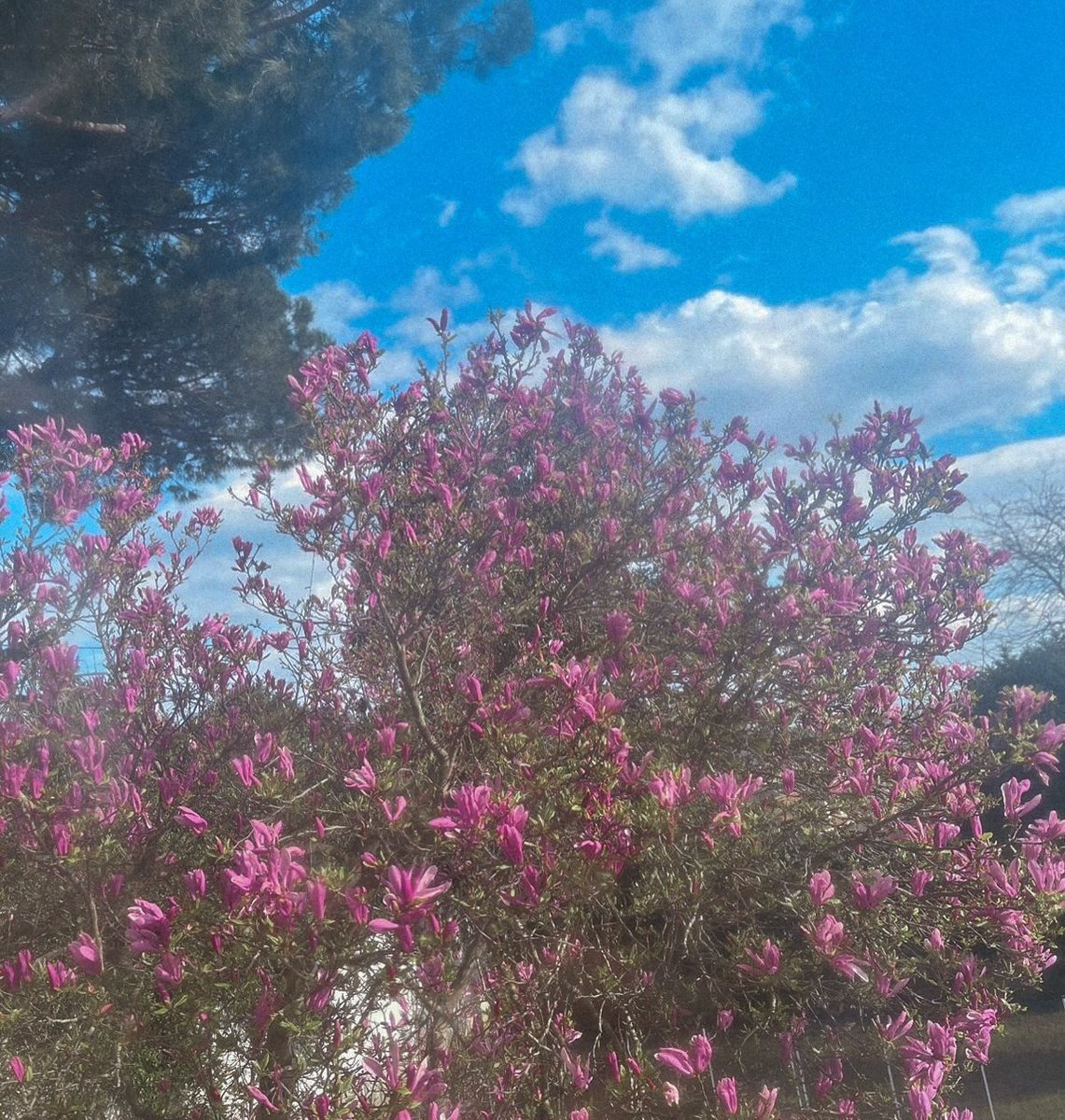 وجهها يجيب السعادة ❤️