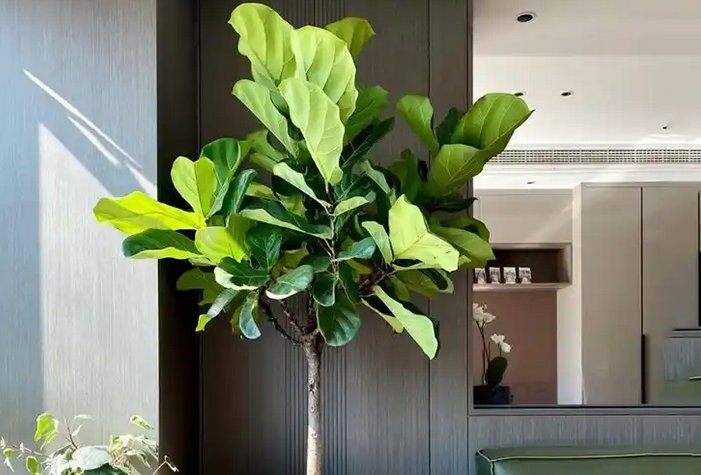 Robert F Addante tweet media