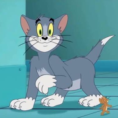 ChelseatheCartoonGal tweet media