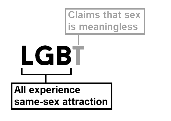 Ellie Angharad 🏳️‍🌈🏴󠁧󠁢󠁷󠁬󠁳󠁿 tweet media