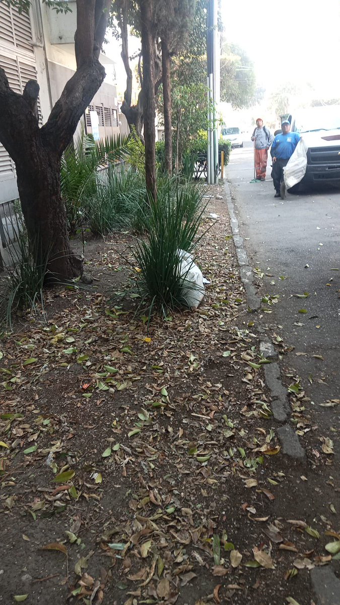 Acciones BJ tweet media