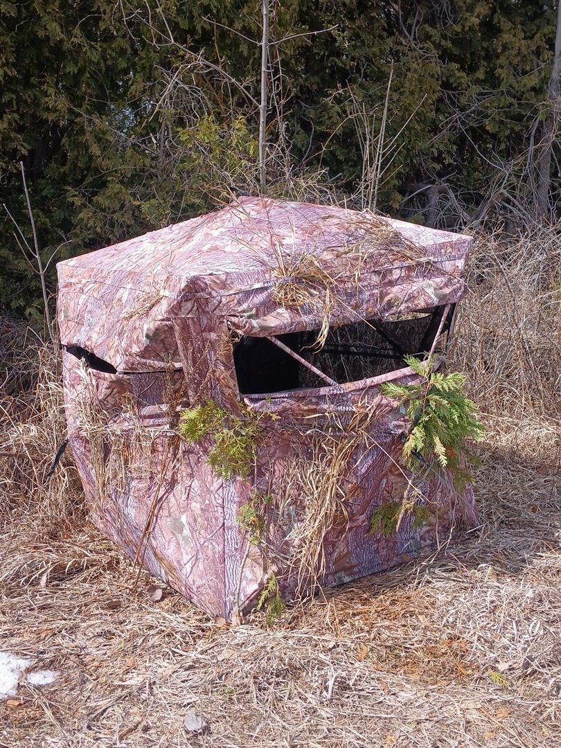 Shawn 🇨🇦🍁 tweet media