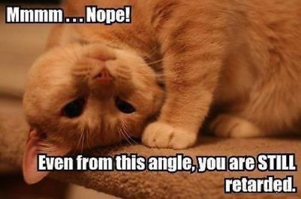 Robert Smith tweet media