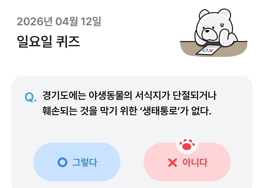 다정한호랑이 tweet media