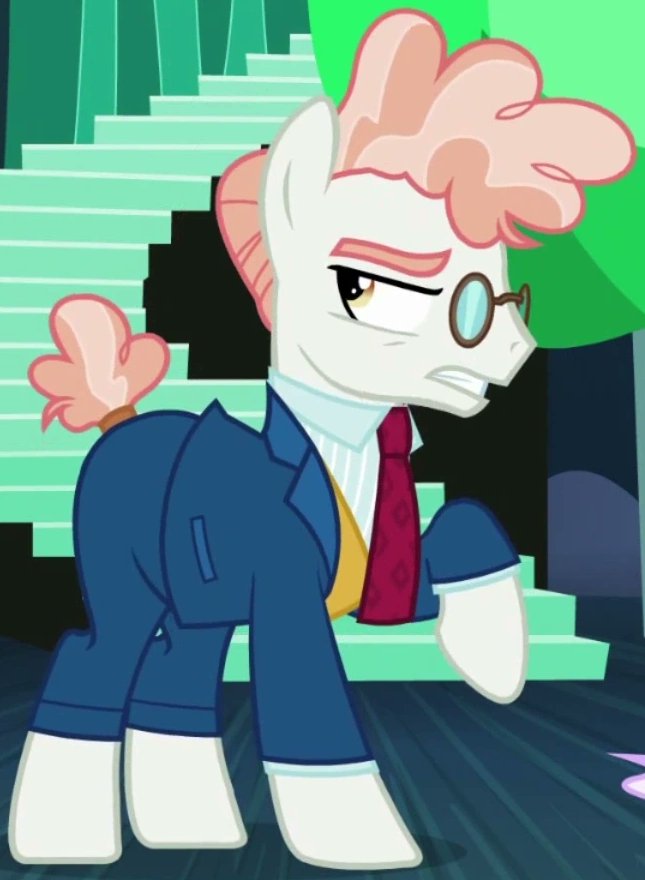 mr raridash tweet media