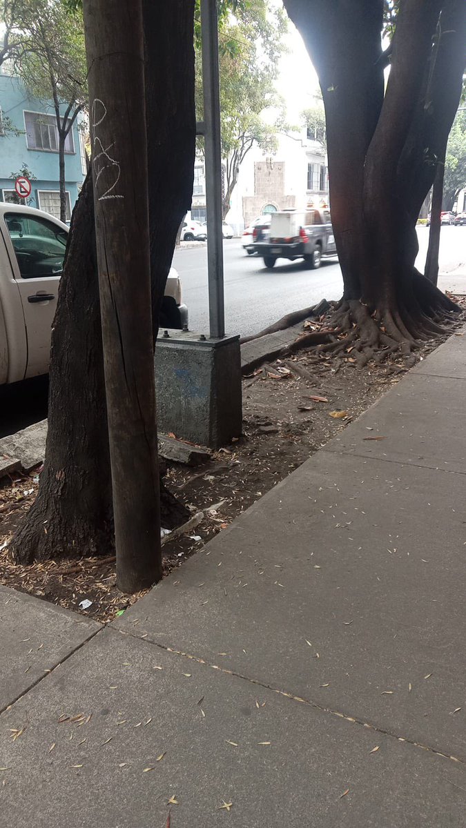 Acciones BJ tweet media