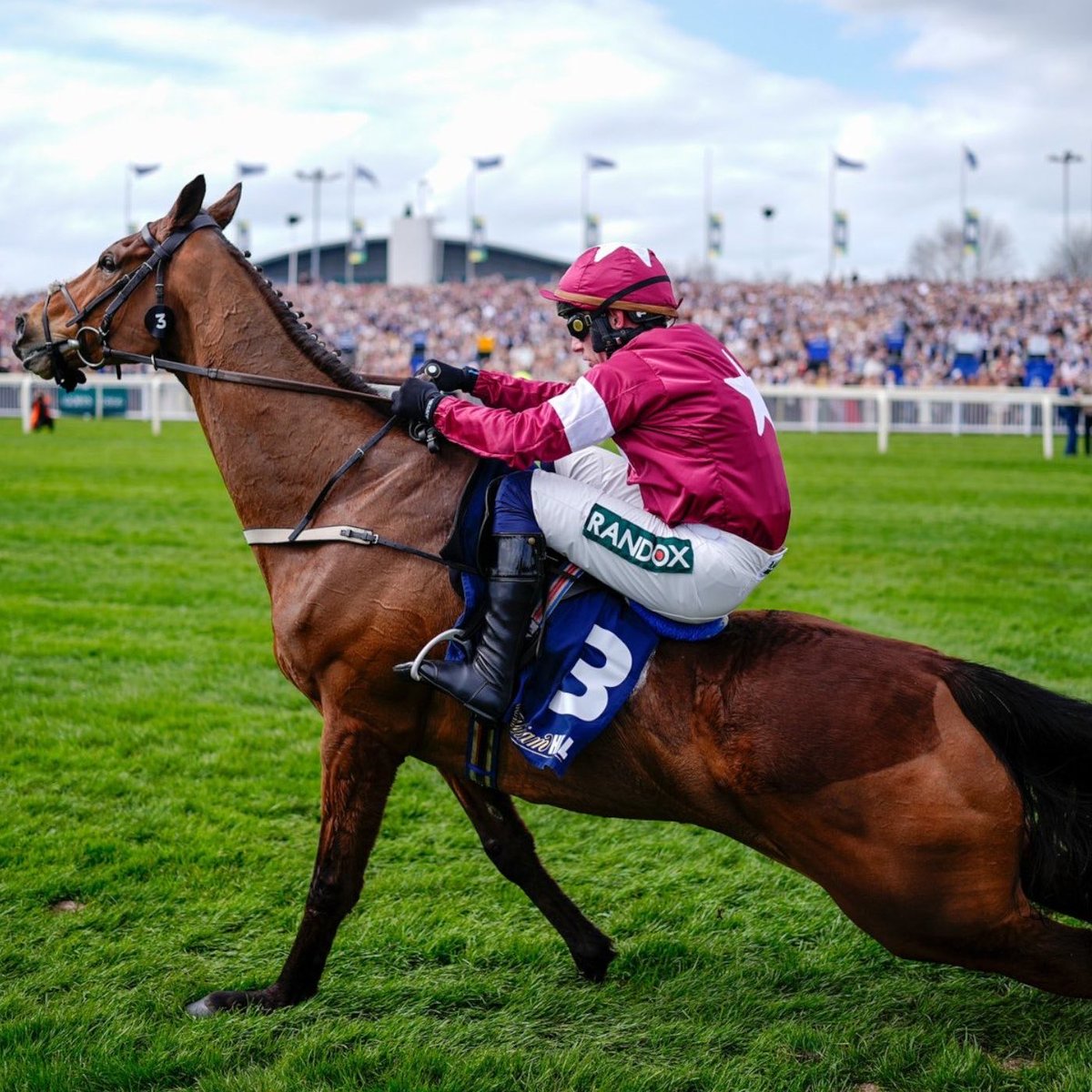 Lucía Hernández | Amo La Ciencia tweet media