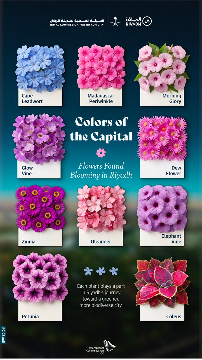 عطراء tweet media