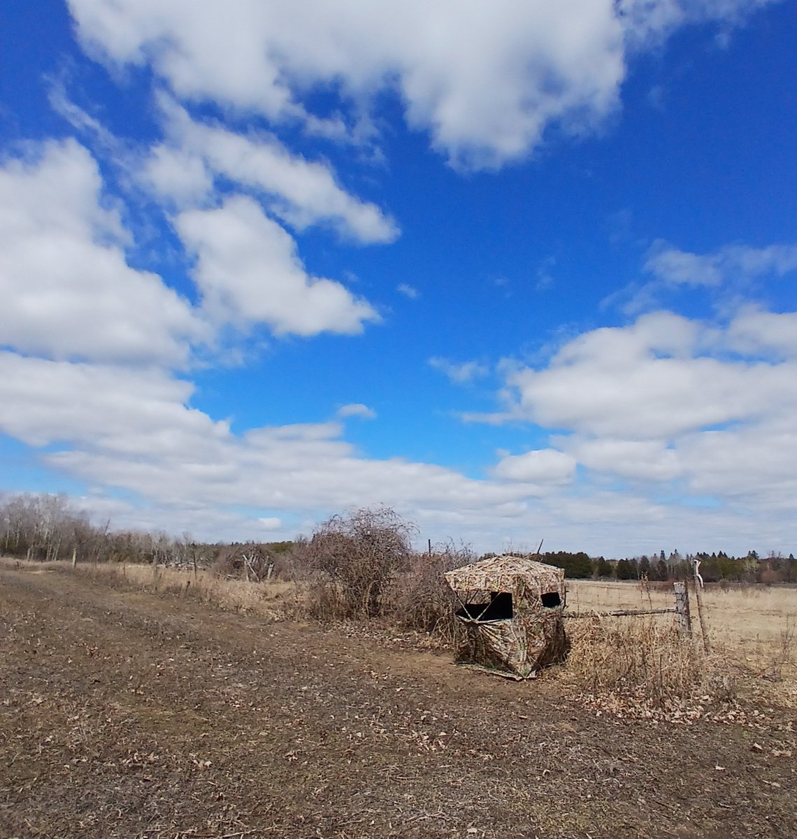 Shawn 🇨🇦🍁 tweet media