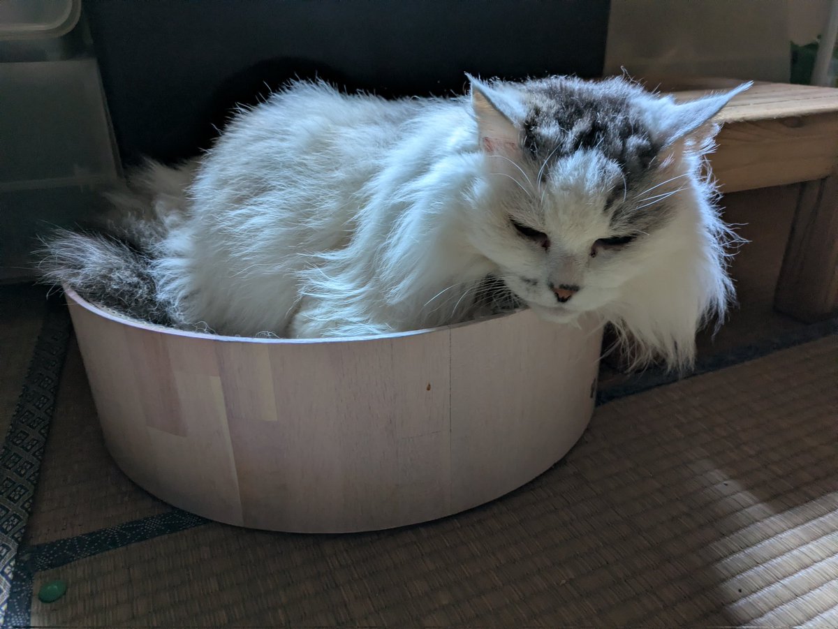 Kaikazawa tweet media